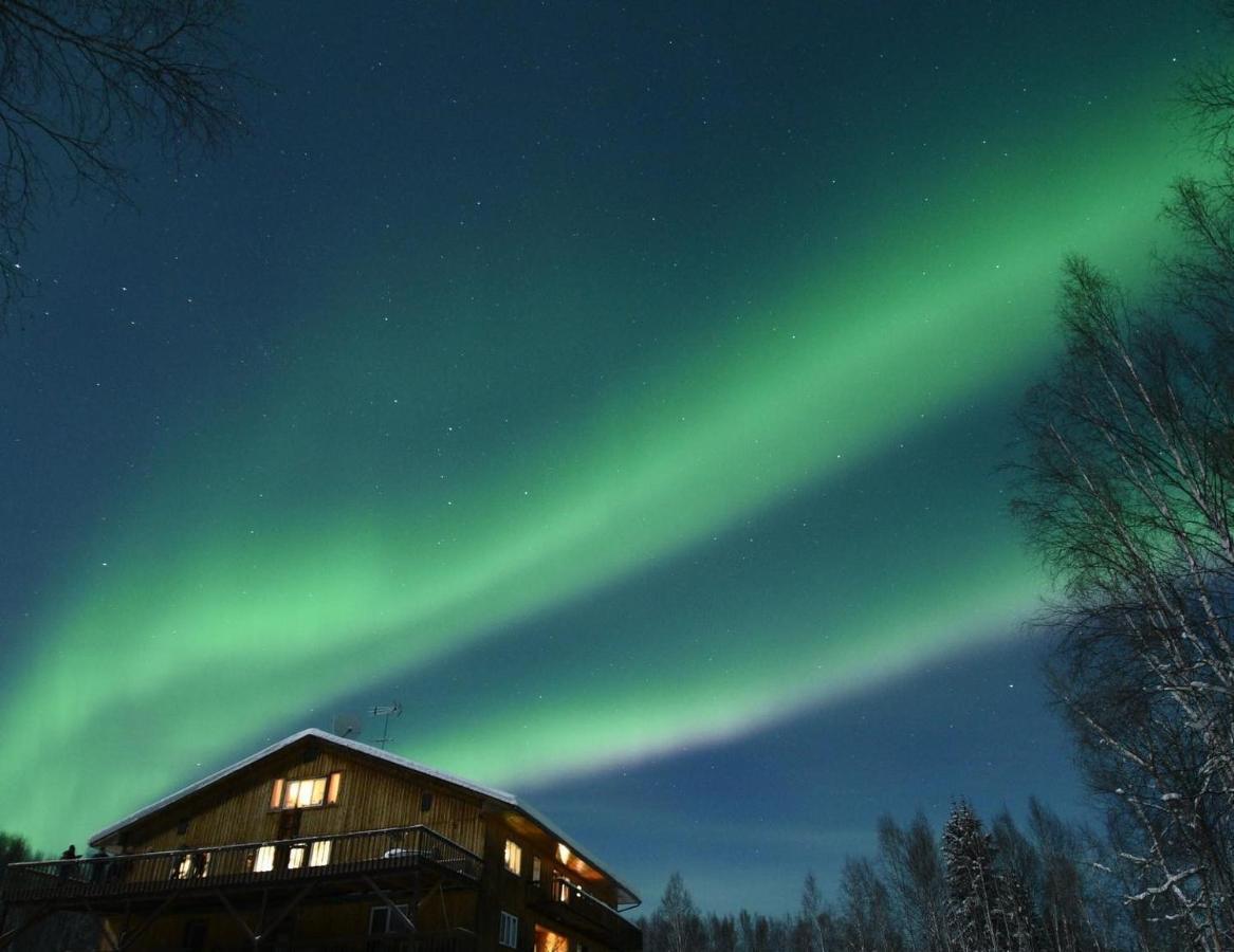 Alaska Grizzly Lodge Феърбанкс Екстериор снимка