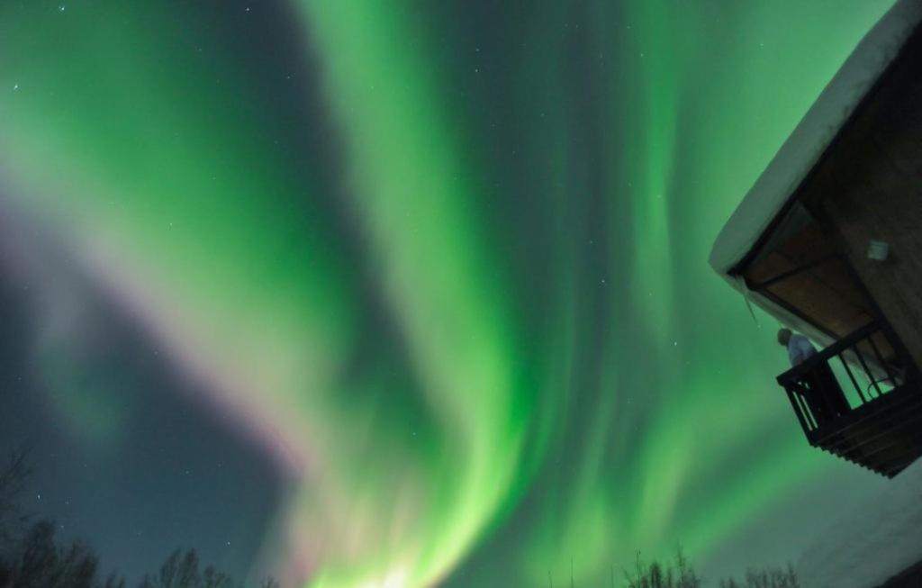Alaska Grizzly Lodge Феърбанкс Екстериор снимка