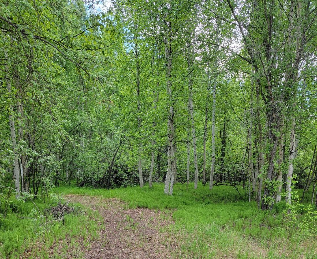 Alaska Grizzly Lodge Феърбанкс Екстериор снимка