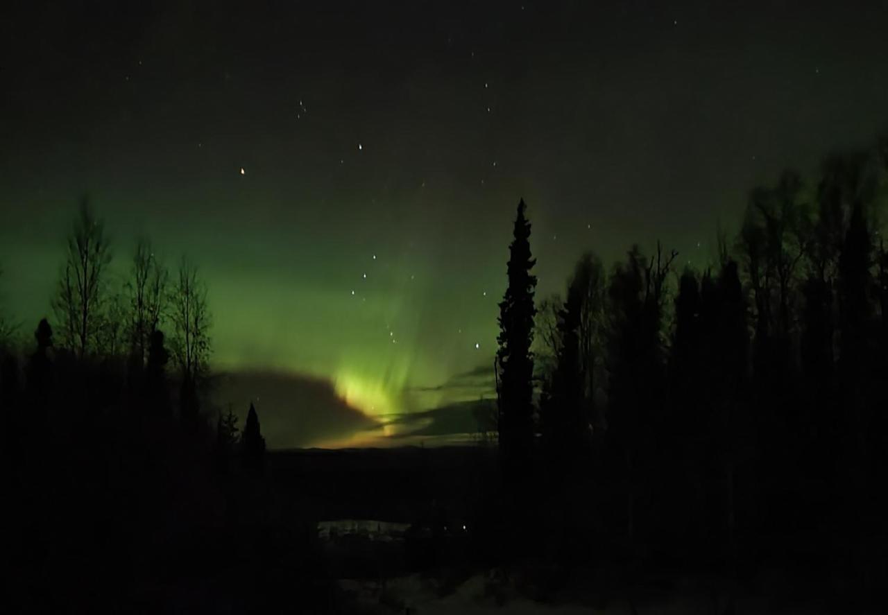 Alaska Grizzly Lodge Феърбанкс Екстериор снимка