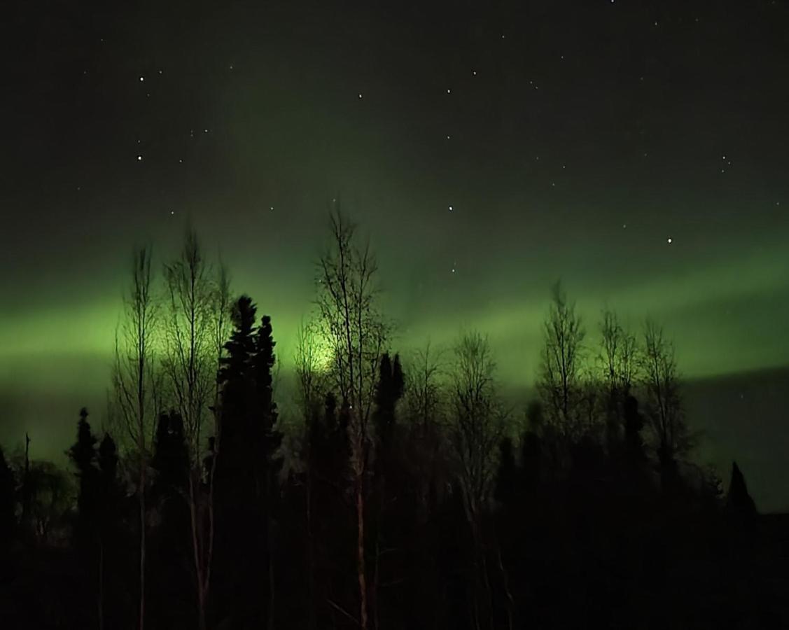 Alaska Grizzly Lodge Феърбанкс Екстериор снимка