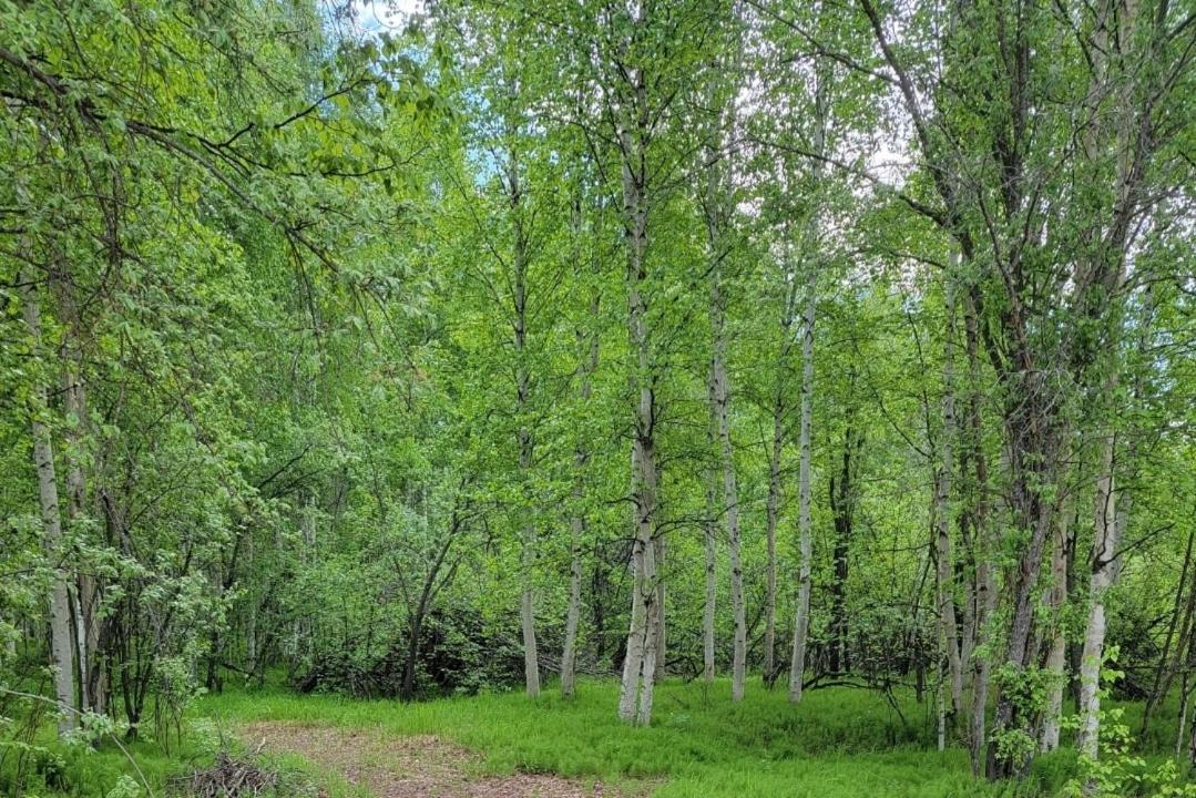 Alaska Grizzly Lodge Феърбанкс Екстериор снимка
